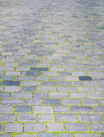 paving stones and grass texture perspectiveの写真素材
