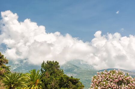 Adriatic landscape - trees, sky and mountain, Montenegro, Budvaの写真素材