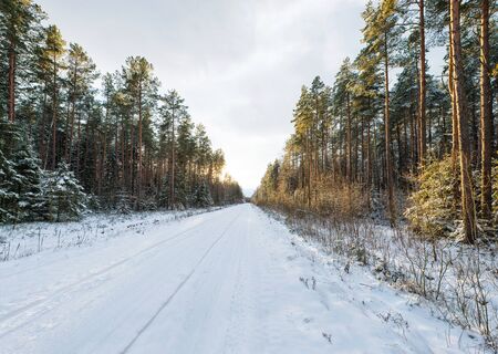 Empty snow covered road in winter forest, landscape with sun lightの写真素材