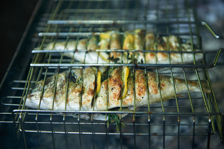 Sea bream prepared on grill with lemon and rosemaryの写真素材