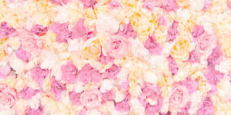 Colorful oil painting hand-painted art illustration : rose wall background (High-resolution 2D CG...