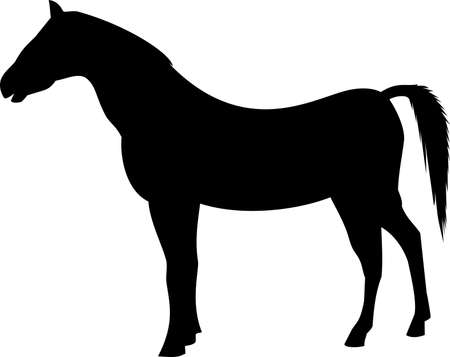 horse black silhouetteのイラスト素材