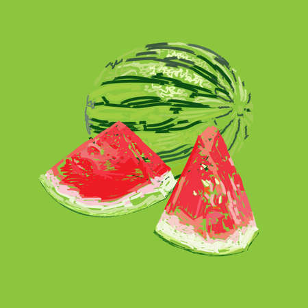 Watermelon. Hand drawn painting on green background.のイラスト素材