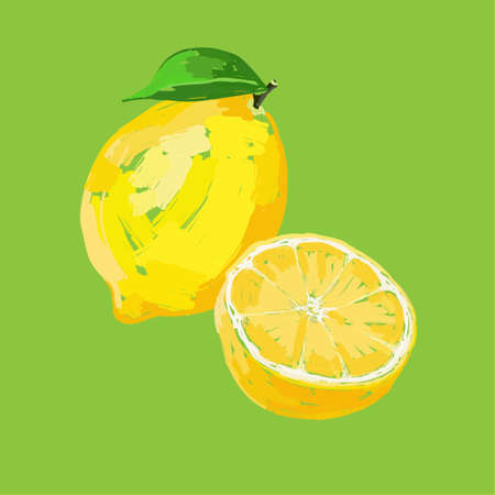 Lemon. Hand drawn painting on green background.のイラスト素材