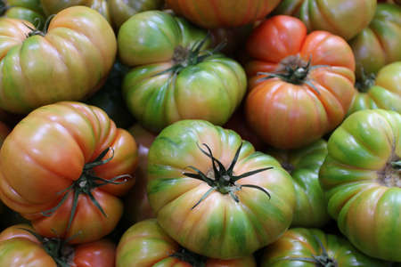 Fresh RAF tomatoes on a pileの写真素材