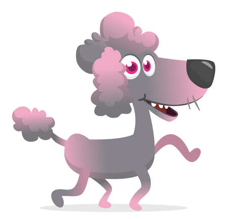 Pretty and cute cartoon french poodle. Vector illustration isolatedのイラスト素材