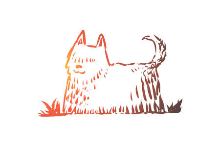 Dog, walking, outdoor, pet, domestic concept. Hand drawn home dog walking concept sketch. Isolated vector illustration.のイラスト素材