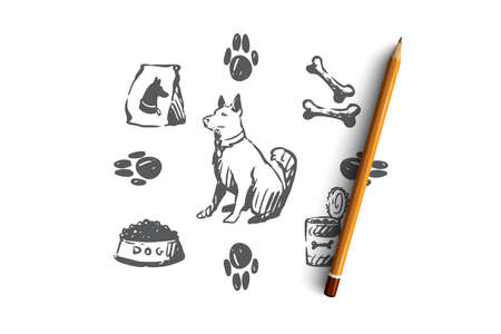 Dog, pet, animal, accessories, care concept. Hand drawn puppy and care supplies concept sketch. Isolated vector illustration.のイラスト素材