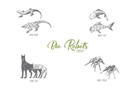 Bio robots - robot fish, dog, spider and gecko vector concept set. Hand drawn sketch isolated illustrationのイラスト素材