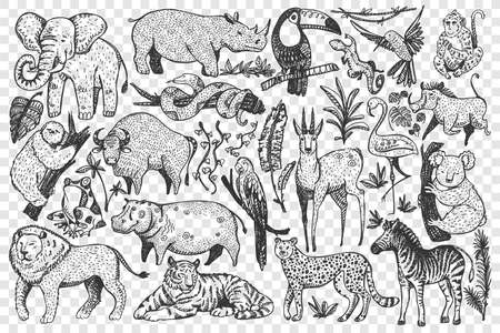 Animals hand drawn doodle setのイラスト素材