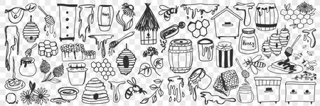 Beekeeping attributes and tools doodle setのイラスト素材