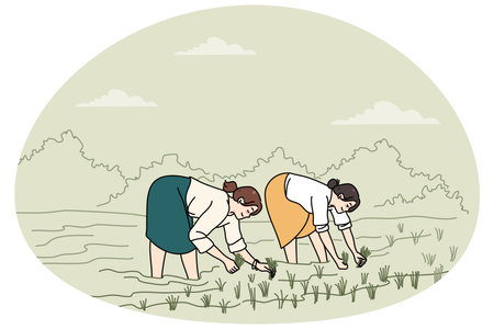 Women working on rice fieldsのイラスト素材