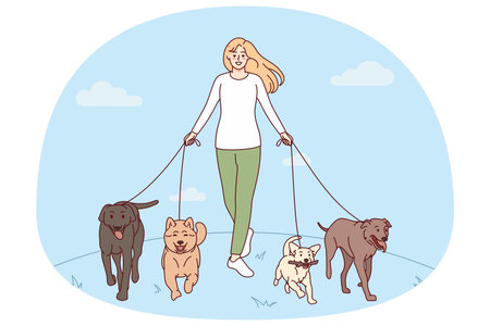 Woman walking with dogs on leashesのイラスト素材
