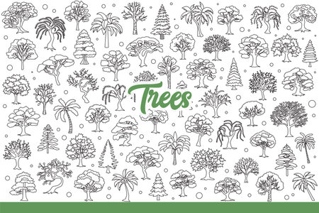 Forest trees growing in different regions, for concept of biodiversity. Hand drawn doodle.のイラスト素材