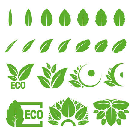 Set of green leaves. Eco green vector illustration design elementsのイラスト素材