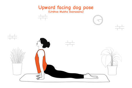 Woman doing yoga asana upward facing dog pose or urdhva mukha svanasana in flat hand drawn styleのイラスト素材