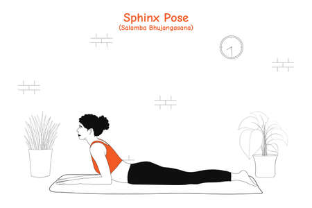Woman doing yoga asana sphinx pose or salamba bhujangasanaのイラスト素材