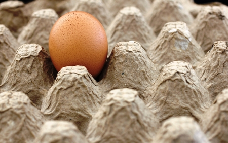 A cardboard egg tray with  a single brown chicken eggの写真素材