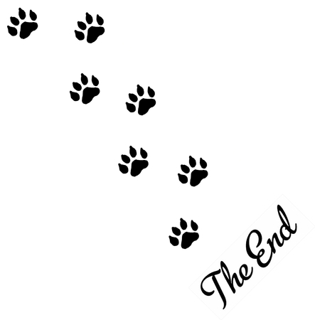 The End. A graphic with animal footprints leaving the area with the words "The End" in cursive lettering.の写真素材