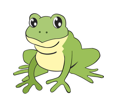 A flat drawing of a frog in shades of green and cream, isolated on a white backgroundの写真素材