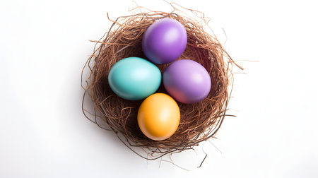 Top view of multicolor eggs in a nest on a white background. Easter template with copy spaceの素材