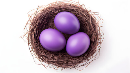 Top view of purple eggs in a nest on a white background. Easter template with copy spaceの素材