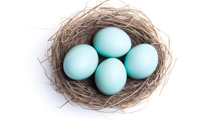 Top view of sky blue eggs in a nest on a white background. Easter template with copy spaceの素材