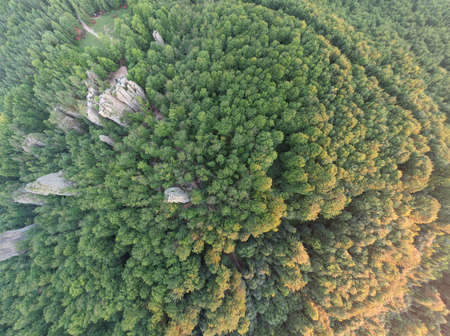 Aerial view of magical Dovbush rock of carpathian mountains, summer day, Ukraine, wide angle