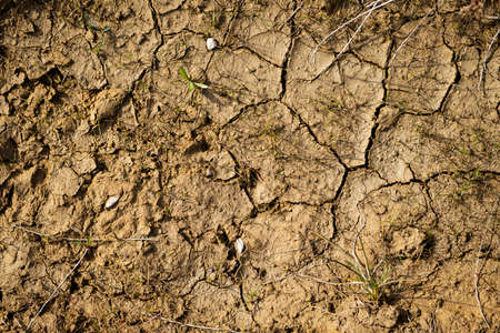 Dry cracked earth background. Soil with cracks and dry grass.