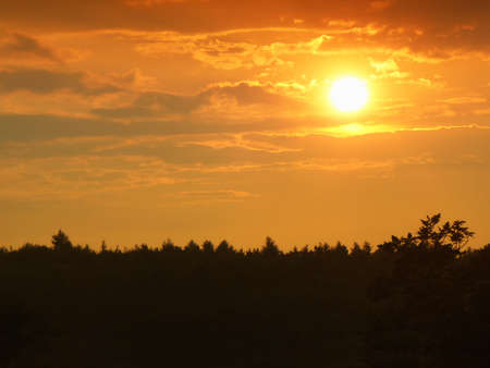 sunset over the forestの写真素材