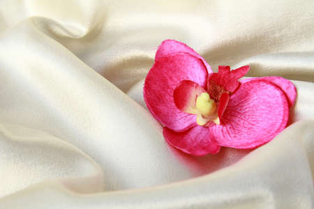 pink orchids on a beige soft, luxurious silkの写真素材