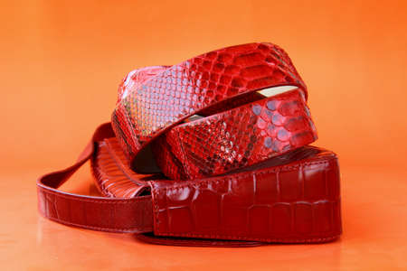 Womenの写真素材