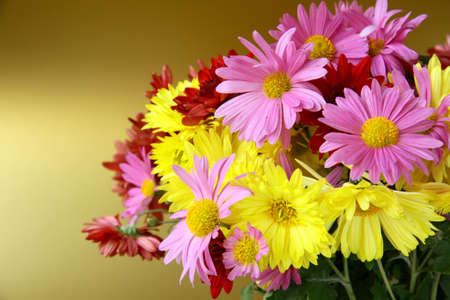bouquet of flowers autumn in a vase