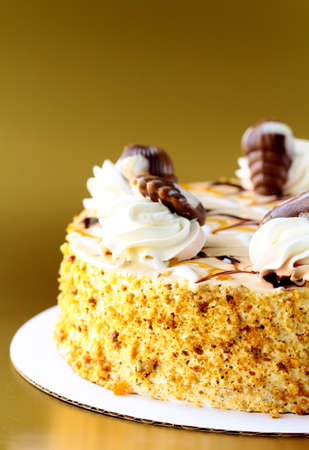 White Cream Icing Cake with Fruits and Chocolate 