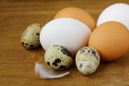 chicken and quail eggs ,  rustic styleの写真素材