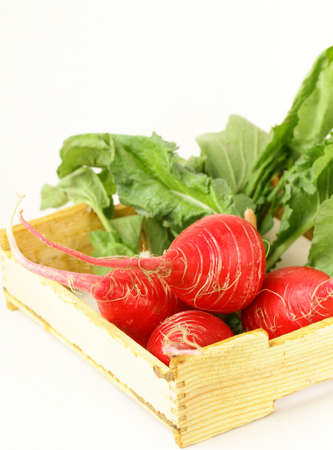 bunch of red ripe radish on white backgroundの写真素材