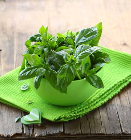 fresh green basil on a wooden tableの写真素材