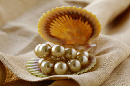 pearl  necklace in shell on a beige background