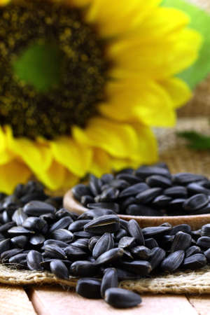 sunflower seeds with a flower on  backgroundの写真素材