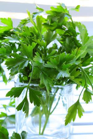 green, organic parsley on wooden tableの写真素材