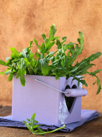 fresh green, natural arugulaの写真素材