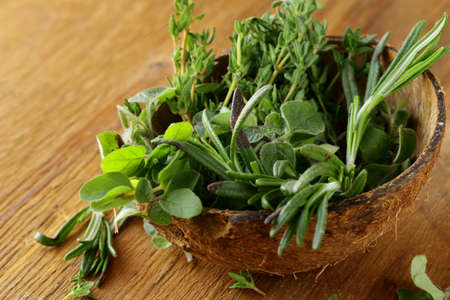 various herbs spices (rosemary, thyme, oregano)の写真素材
