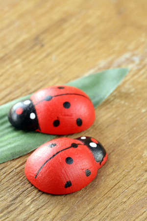 wooden ladybugs symbol of springの写真素材