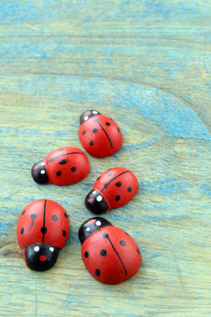 wooden ladybugs symbol of springの写真素材
