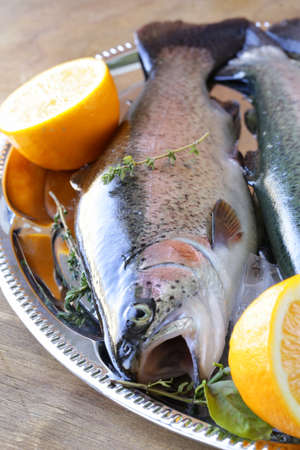 fresh raw fish trout on ice with lemon and thymeの写真素材