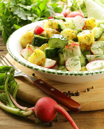 potato salad with cucumber and radishの写真素材