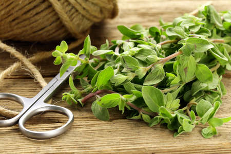 fresh organic oregano (marjoram) on a wooden boardの写真素材