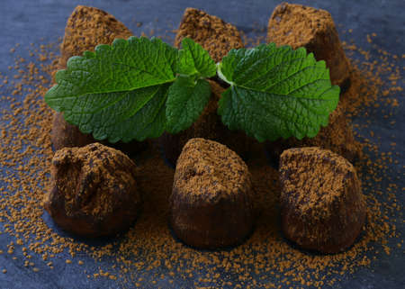 chocolate candy truffle with cocoa and mintの写真素材