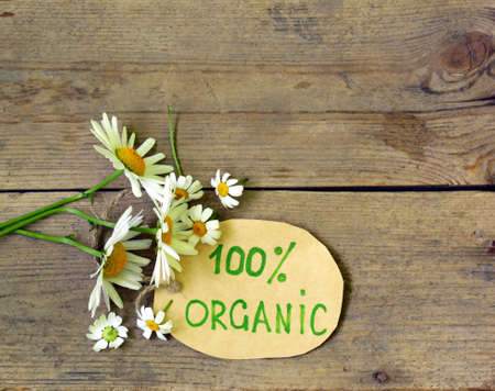 organic label with daisies on natural backgroundの写真素材