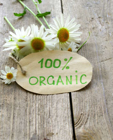 organic label with daisies on natural backgroundの写真素材